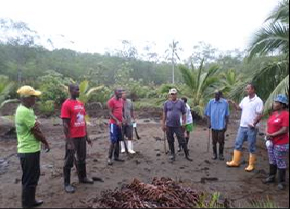 Informe consolidado plan general de asistencia técnica Mosquera – Nariño