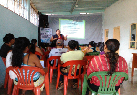 Informe de ejecución final del incentivo económico a la asistencia técnica directa rural 2015