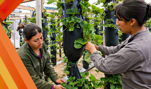 ALIANZA DE COOPERACIÓN INTERINSTITUCIONAL CELEBRADO ENTRE EL CENTRO AGROINDUSTRIAL Y PESQUERO DE LA COSTA PACÍFICA